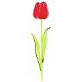 EUROPALMS Kryształowy tulipan, sztuczny kwiat, czerwony 61cm 12x 2/5