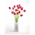 EUROPALMS Kryształowy tulipan, sztuczny kwiat, czerwony 61cm 12x 4/5