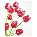EUROPALMS Kryształowy tulipan, sztuczny kwiat, czerwony 61cm 12x 5/5