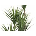 EUROPALMS Palma z jukki, sztuczna roślina, 130 cm 3/3
