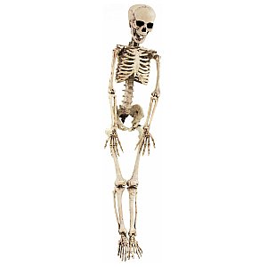 Europalms Halloween figure skeleton 1/3