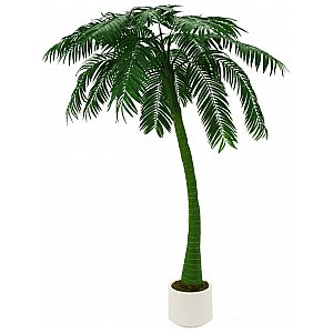 EUROPALMS Palm, 1 trunk, 300cm, green Sztuczna palma 1/1