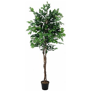 Europalms Sztuczny Ficus wielopienny 150cm 1/2