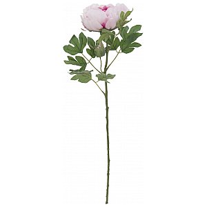 EUROPALMS Kwiat Piwonia classic, sztuczna roślina, różowy, 80 cm 1/2