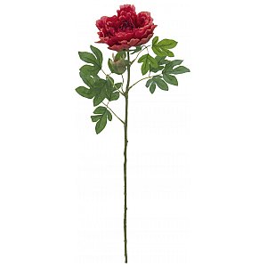 EUROPALMS Kwiat Piwonia classic, sztuczna roślina, magenta, 80cm 1/2