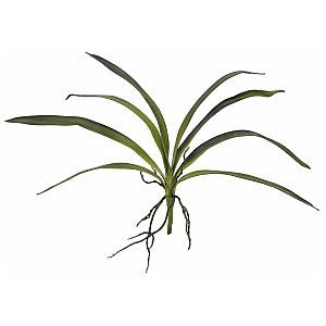 Europalms Liść orchidei (EVA) zielony 45cm, Sztuczna roślina 1/2