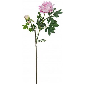 EUROPALMS Kwiat Piwonia premium, sztuczna roślina, różowy, 100 cm 1/2