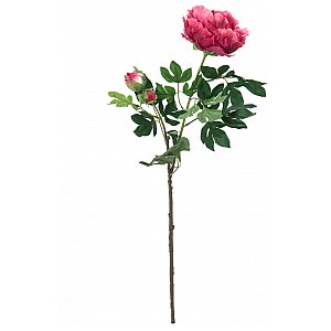 EUROPALMS Kwiat Piwonia premium, sztuczna roślina, magenta, 100 cm 1/2