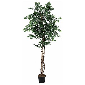Europalms Pstrokaty Figowiec, Variegated Ficus 180cm, Sztuczne drzewo 1/3
