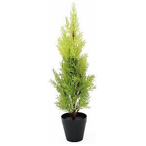 Europalms Cypress, Leyland, 60cm, Sztuczna roślina 1/3