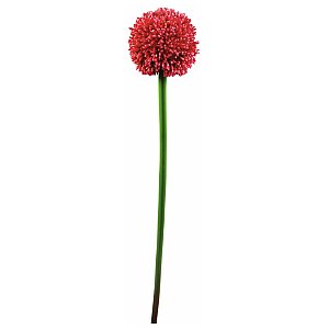 Europalms Kwiat Allium czerwony 55cm, Sztuczny 1/2