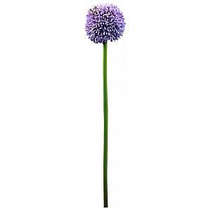 Europalms Alliumspray, lavender, 55cm , Sztuczny kwiat 1/4