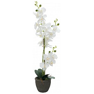 EUROPALMS Orchidea, sztuczna roślina, biała, 80 cm 1/5