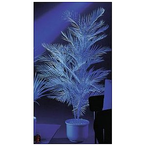 Europalms Palma Kentia aktywna w UV na biało 90cm 1/1