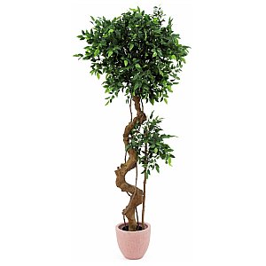 Europalms Ficus bonsai trunk, 170cm, Sztuczne drzewo 1/3