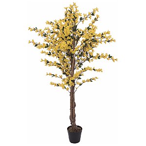 EUROPALMS Drzewo Forsycja z 3 pniami, sztuczna roślina, żółty, 150 cm 1/3
