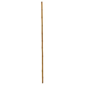 Europalms Bambootube, Ø=5cm, 200cm, Sztuczny bambus 1/1