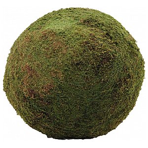 Europalms Mossball, green, ca.50cm, kula mchu 1/2