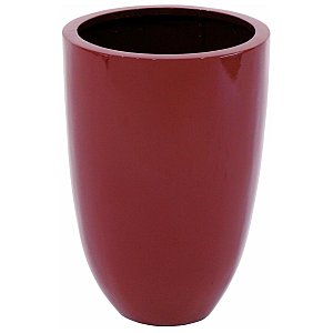 Europalms LEICHTSIN CUP-49, shiny-red, Doniczka 1/2