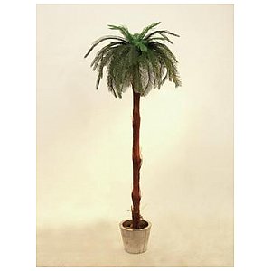 Europalms Cycus Palm Tree 210cm, Sztuczna palma 1/1