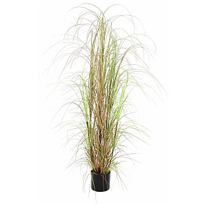 Europalms Grass bush, 150cm, Sztuczna trawa 1/3
