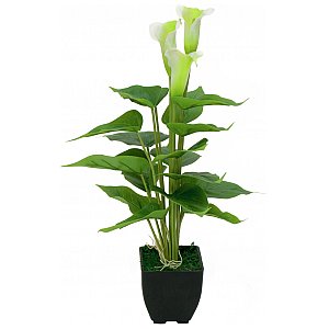 EUROPALMS Mini Calla, sztuczna roślina, biały, 43 cm 1/3