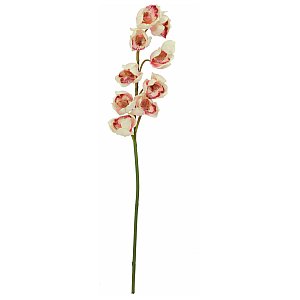Europalms Cymbidiumspray, cream-pink, 90cm, Sztuczny kwiat 1/2