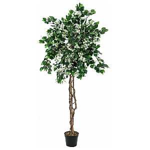 Europalms Sztuczne drzewo Bougainvillea biała 150cm 1/2