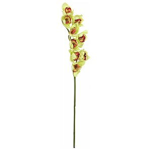 Europalms Cymbidiumspray, green, 90cm, Sztuczny kwiat 1/2