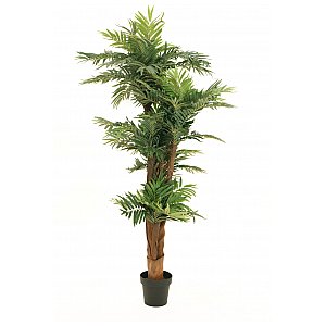 EUROPALMS Palma Areca, sztuczna roślina, 170 cm 1/4
