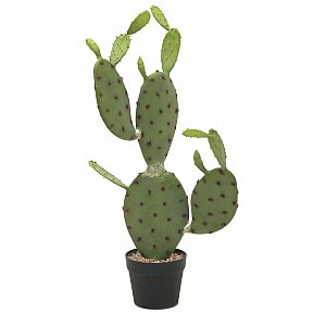 EUROPALMS Kaktus nopal, sztuczna roślina, 75 cm 1/2