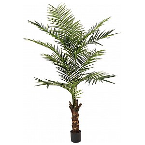 EUROPALMS Kentia palm tree, artificial plant, 240cm Sztuczna palma 1/5