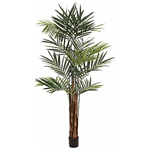 EUROPALMS Kentia palm tree, artificial plant, 300cm Sztuczna palma 1/5