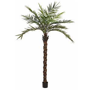 EUROPALMS Kentia palm tree deluxe, artificial plant, 300cm Sztuczna palma 1/4
