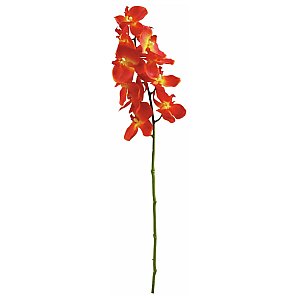 Europalms Orchid twig, orange, 70cm, Sztuczny kwiat 1/2