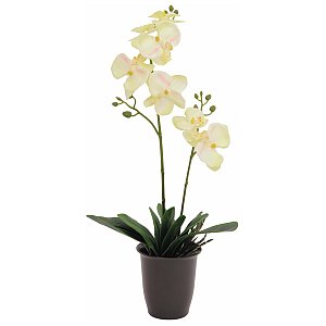Europalms Orchid, cream, 57cm, Sztuczny kwiat 1/1