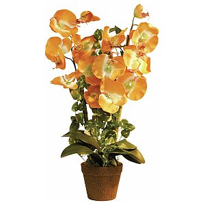 Europalms Orchid, orange, 57cm , Sztuczny kwiat 1/5