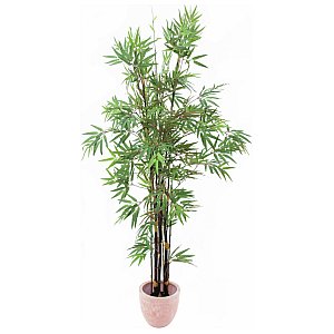 Europalms Bamboo black trunk, 210cm, Sztuczna roślina 1/3