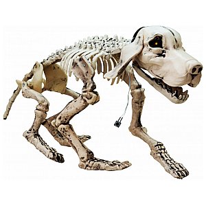 EUROPALMS Straszne dekoracje Halloween szkielet psa 71x40x25cm 1/3