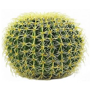 Europalms Barrel Cactus, 37cm, Sztuczny kaktus 1/2