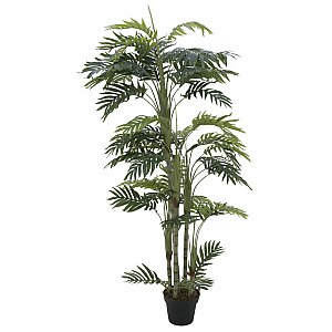 EUROPALMS Palma Phoenix, sztuczna roślina, 160 cm 1/3