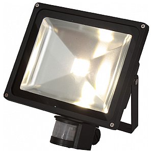 Ibiza Light LEDFLOOD-30WH-MD, naświetlacz LED 1/1