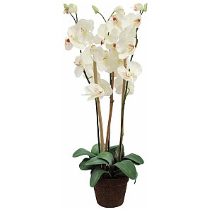 Europalms Orchid, white, 80cm, Sztuczny kwiat 1/3
