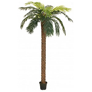 EUROPALMS Phoenix Deluxe, sztuczna roślina palmowa, 250 cm 1/4