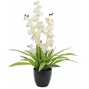 Europalms Orchid, white, with leaves, 80cm, Sztuczny kwiat 1/2