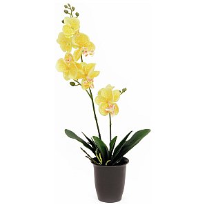 Europalms Orchid, yellow, 57cm, Sztuczny kwiat 1/1