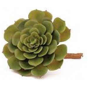 Europalms Echeveria cactus, 15cm, Sztuczny kaktus 1/2