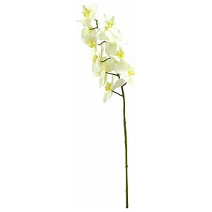 Europalms Orchidspray, cream, 70cm, Sztuczny kwiat 1/5