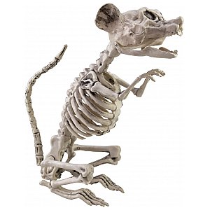 EUROPALMS Dekoracje na Halloween Szkielet szczura 32x10x16cm 1/3