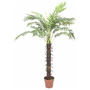 Europalms Coconut palm with 18 leaves, 160cm Sztuczna palma 1/2